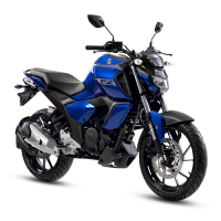 FZS 3.0